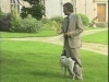 Embedded thumbnail for Loose Leash 3 - Training the Companion Dog 3 – Walking &amp;amp; Heeling