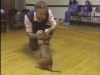 Embedded thumbnail for Starting to Stay - SIRIUS Puppy Training Classic
