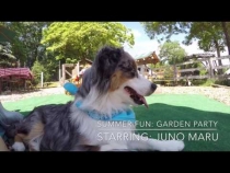 Embedded thumbnail for Garden Party with Juno Maru