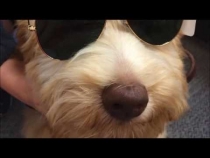 Embedded thumbnail for Sunny in Summer