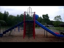 Embedded thumbnail for Nina Dog playing on the slide