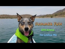 Embedded thumbnail for Summer Fun with Kronos the CowDog Mix