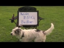 Embedded thumbnail for Aussie BBQ Bedlam