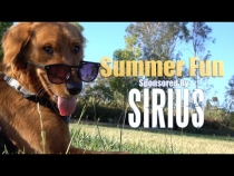 Embedded thumbnail for Puppy&amp;#039;s First Summer