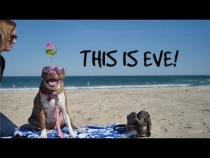 Embedded thumbnail for Summer Fun With Eve!!